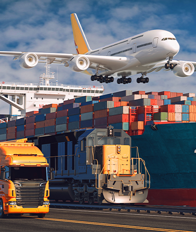Required Shipment Information for Imports with Focus Shipping